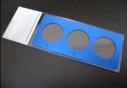 Abcam Comet Assay Slide (3 well)