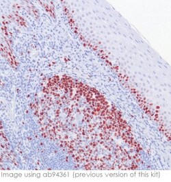 Abcam&nbsp;Rabbit specific HRP/AEC IHC Detection Kit - Micro-polymer, 15ML