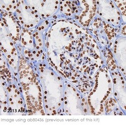 Abcam&nbsp;Mouse and Rabbit Specific HRP/DAB IHC Detection Kit - Micro-polymer, 60ML