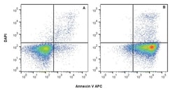 Abcam Annexin V APC Assay Kit