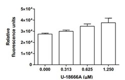 Abcam&nbsp;Cholesterol Uptake Assay Kit