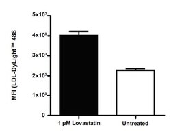 Abcam&nbsp;LDL Uptake Assay Kit (Flow cytometry)