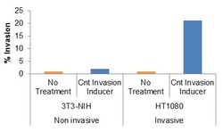 Abcam&nbsp;Cell Invasion Assay (Basement Membrane), 96 well, 8 ¿m