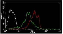 Abcam&nbsp;Protein Synthesis Assay Kit (Red)