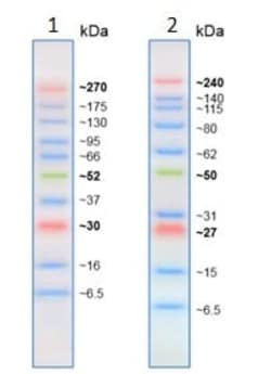Abcam&nbsp;Prestained Protein Ladder - E x tra broad molecular weight (6.5 - 270 kDa), 500UL