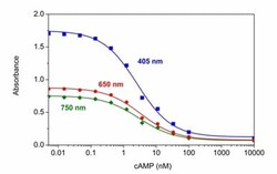 Abcam&nbsp;cAMP Assay Kit (Competitive ELISA)