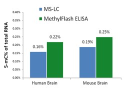 Abcam&nbsp;Global RNA Methylation Assay Kit (5 Methyl Cytosine, Fluorometric)