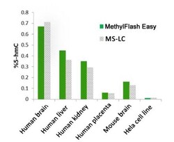Abcam Global DNA Hydroxymethylation Assay Kit (5hmc, Colorimetric)