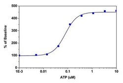 Abcam Fluo 4 Assay Kit (Calcium)