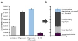 Abcam Glycolysis Stress Test Complete Assay Kit