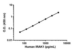 Abcam&nbsp;Human IRAK-1 Matched Antibody Pair Kit, 5 x 96 Tests