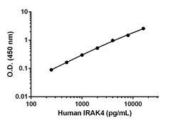 Abcam&nbsp;Human IRAK4 Matched Antibody Pair Kit, 5 x 96 Tests