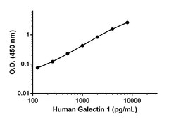 Abcam&nbsp;Human Galectin 1 Matched Antibody Pair Kit, 5 x 96 Tests