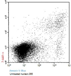 Abcam&nbsp;Annexin V CF Blue 7 AAD Apoptosis Staining  Detection Kit