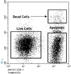 Abcam Annexin V  DY 634 PI Apoptosis Staining  Detection Kit