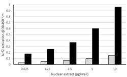 Abcam&nbsp;Nrf2 Transcription Factor Assay Kit (Colorimetric)