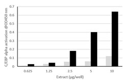 Abcam&nbsp;CEBP alphabeta Transcription Factor Assay Kit (Colorimetric)