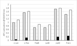 Abcam AP1 (c FosFosBFra1c JunJunD) Transcription Factor Assay Kit (Colorimetric)