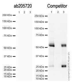 Abcam&nbsp;Goat Anti Rat IgG H&L (HRP)
