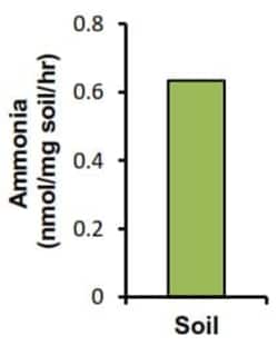 Abcam Urease Activity Assay Kit (Colorimetric)