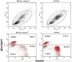 Abcam&nbsp;APC Conjugation Kit - Lightning-Link, 3 x 10UG