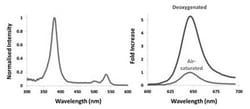 Abcam Extracellular Oxygen Consumption Assay