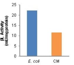 Abcam&nbsp;Beta Lactamase Activity Assay Kit (Colorimetric)