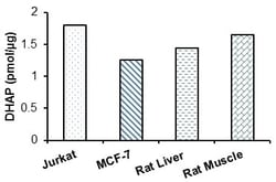 Abcam&nbsp;Dihydroxyacetone Phosphate (DHAP) Assay Kit (Fluorometric)