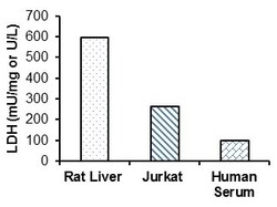 Abcam&nbsp;Lactate Dehydrogenase (LDH) Assay Kit (Fluorometric)