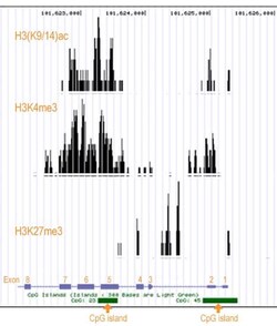 Abcam&nbsp;ChIP-Seq High Sensitivity Kit, 12 Tests