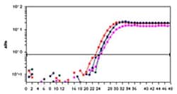 Abcam&nbsp;Chromatin Accessibility Assay Kit