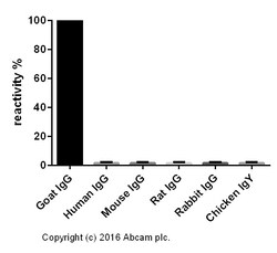 Abcam&nbsp;Donkey Anti-Goat IgG H&L