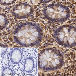 Abcam&nbsp;Donkey Anti-Mouse IgG H&L Biotin