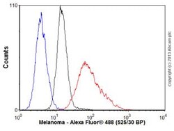 Abcam Anti-Melanoma antibody HMB45  M2-7C10  M2-9E3  T311