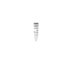 Zymo Research Corporation Zymolyase Ultra 100 U