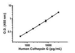 Abcam&nbsp;Human Cathepsin G ELISA Kit, 1 x 96 Tests
