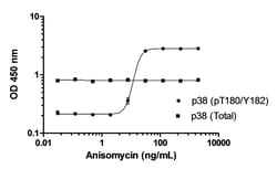Abcam&nbsp;p38 MAPK alpha (pT180/Y182) ELISA Kit, 1 x 96 Tests