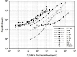 Abcam&nbsp;Porcine Cytokine Antibody Array B (10 Targets) - Quantitative