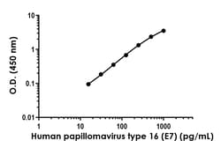 Abcam&nbsp;Human papillomavirus type 16 (E7) Antibody Pair - BSA and Azide free, 10 x 96 Tests