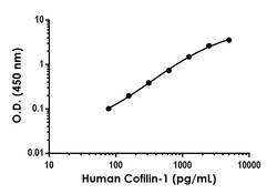 Abcam&nbsp;Cofilin-1 Antibody Pair - BSA and Azide free, 10 x 96 Tests