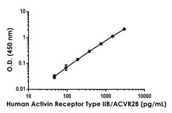 Abcam&nbsp;Human Activin Receptor Type IIB/ACVR2B Antibody Pair - BSA and Azide free, 10 x 96 Tests