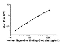 Abcam&nbsp;Human Thyroxine Binding Globulin ELISA Kit, 1 x 96 Tests