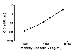 Abcam&nbsp;Monkey Lipocalin-2 ELISA Kit, 1 x 96 Tests