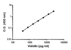 Abcam&nbsp;Visfatin Antibody Pair - BSA and Azide free, 10 x 96 Tests
