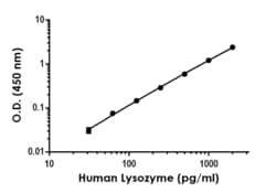 Abcam&nbsp;Human Lysozyme Antibody Pair - BSA and Azide free, 10 x 96 Tests