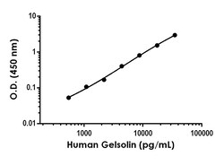 Abcam&nbsp;Human Gelsolin ELISA Kit, 10 x 96 Tests