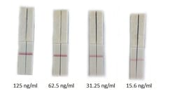 Abcam&nbsp;Streptavidin Antibody Conjugation Check Kit, 30 Tests
