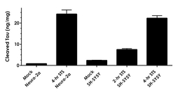 Abcam&nbsp;Cleaved Tau ELISA Kit (Human Asp738/Mouse Asp713), 1 x 96 Tests