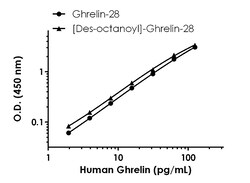 Abcam&nbsp;Human Ghrelin ELISA Kit (Ghrelin-28), 1 x 96 Tests