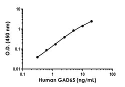 Abcam&nbsp;HumanGAD65 Antibody Pair - BSA and Azide free, 10 x 96 Tests